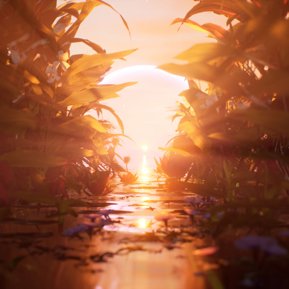 2021_Sunrisepunk_Cover