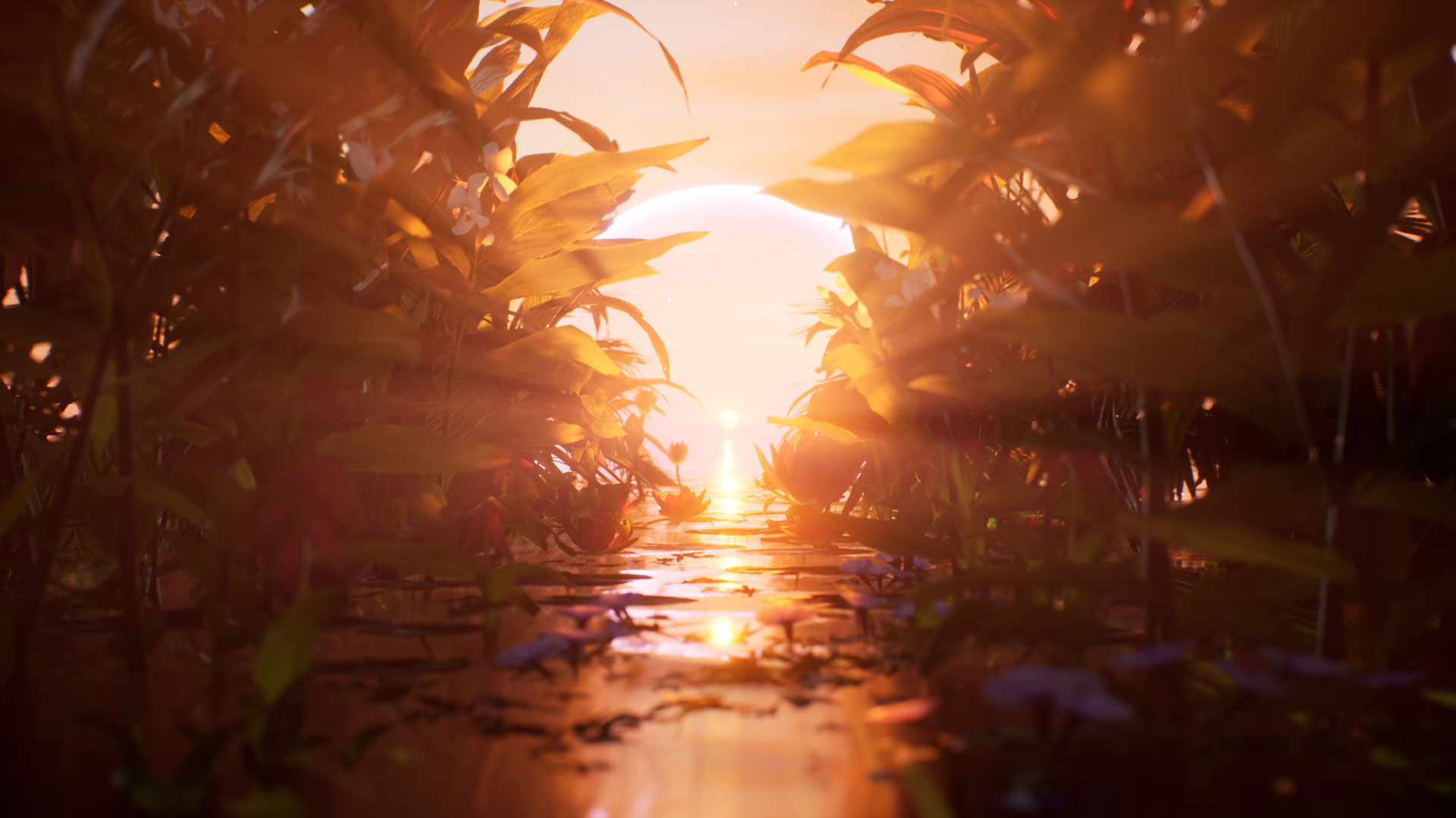 2021_Sunrisepunk_4